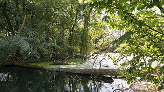 Fluss- und Auenlandschaft